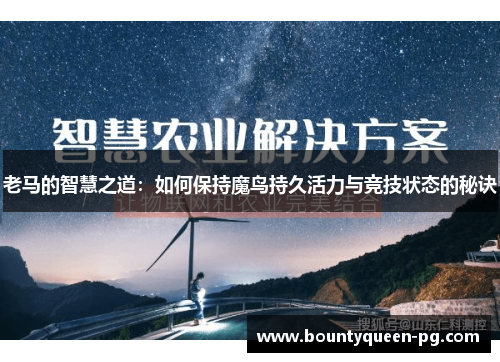 老马的智慧之道:如何保持魔鸟持久活力与竞技状态的秘诀 老马的智慧之道:如何保持魔鸟持久活力与竞技状态的秘诀