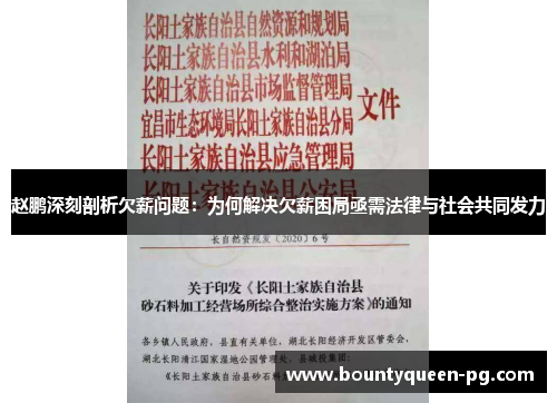 赵鹏深刻剖析欠薪问题:为何解决欠薪困局亟需法律与社会共同发力 赵鹏深刻剖析欠薪问题:为何解决欠薪困局亟需法律与社会共同发力